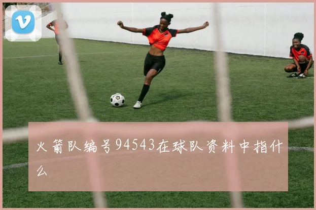 火箭队编号94543在球队资料中指什么