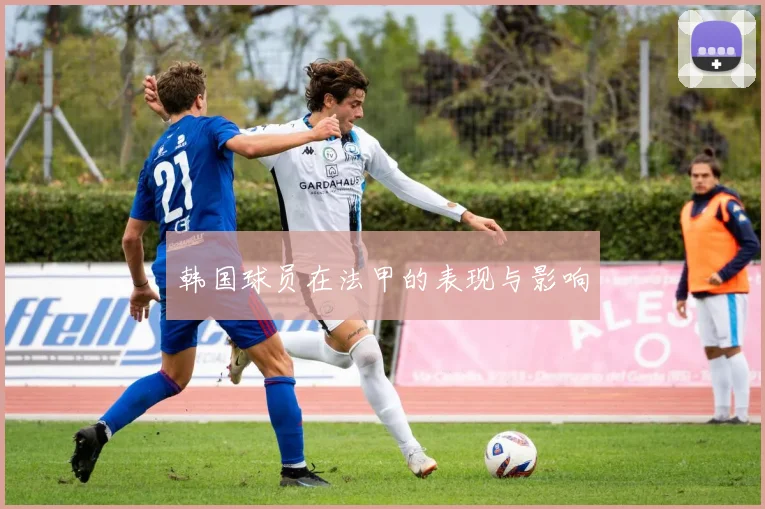 韩国球员在法甲的表现与影响