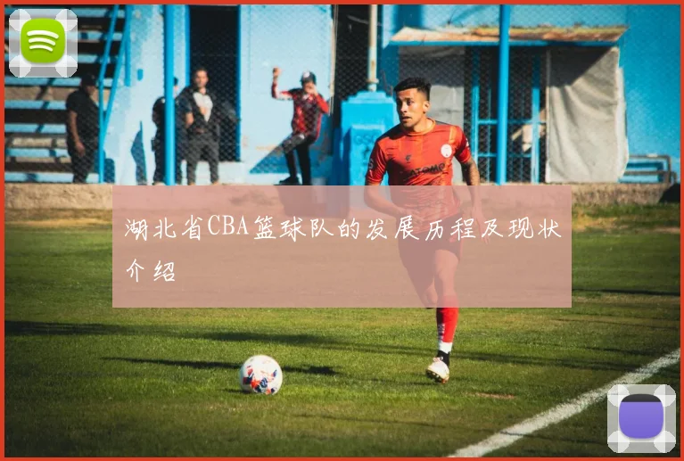 湖北省CBA篮球队的发展历程及现状介绍
