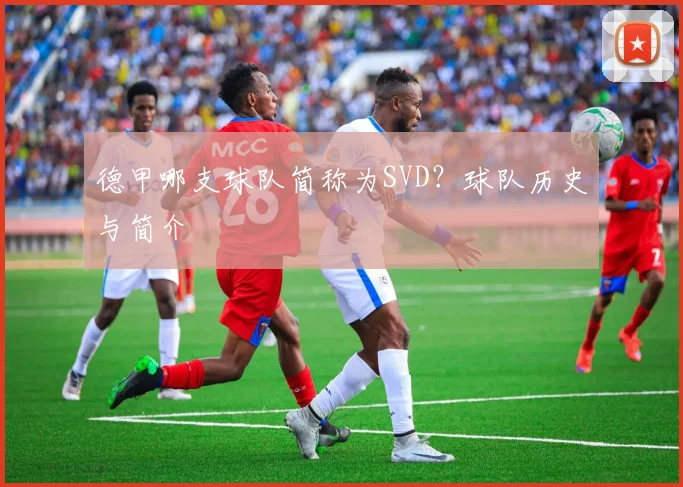德甲哪支球队简称为SVD？球队历史与简介
