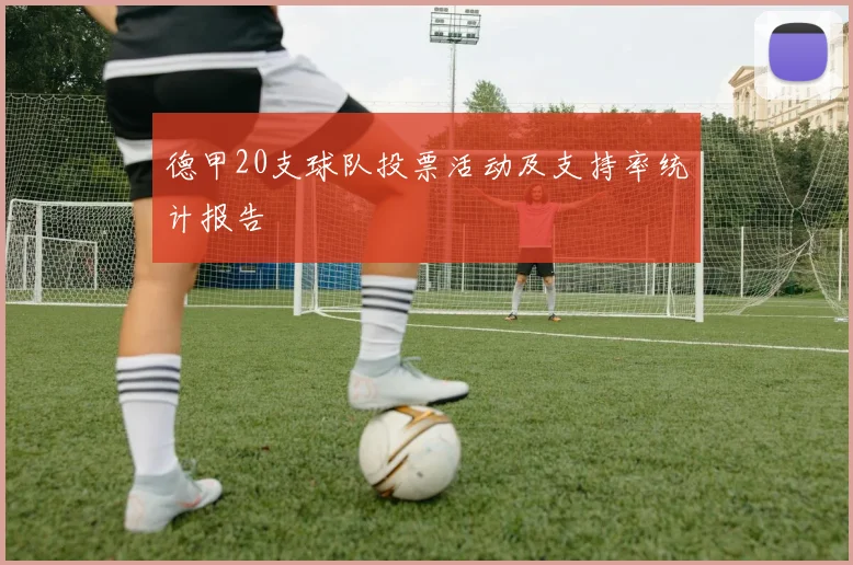 德甲20支球队投票活动及支持率统计报告