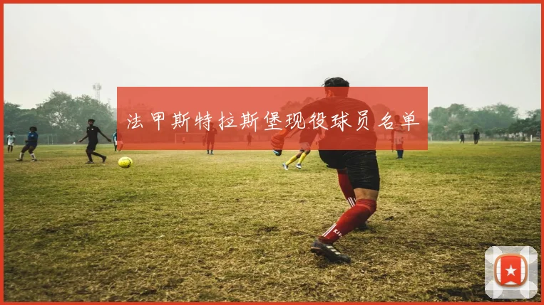 法甲斯特拉斯堡现役球员名单