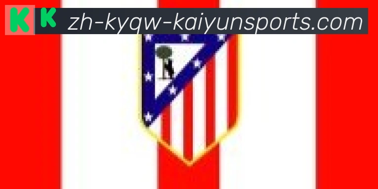 ky开云合作伙伴